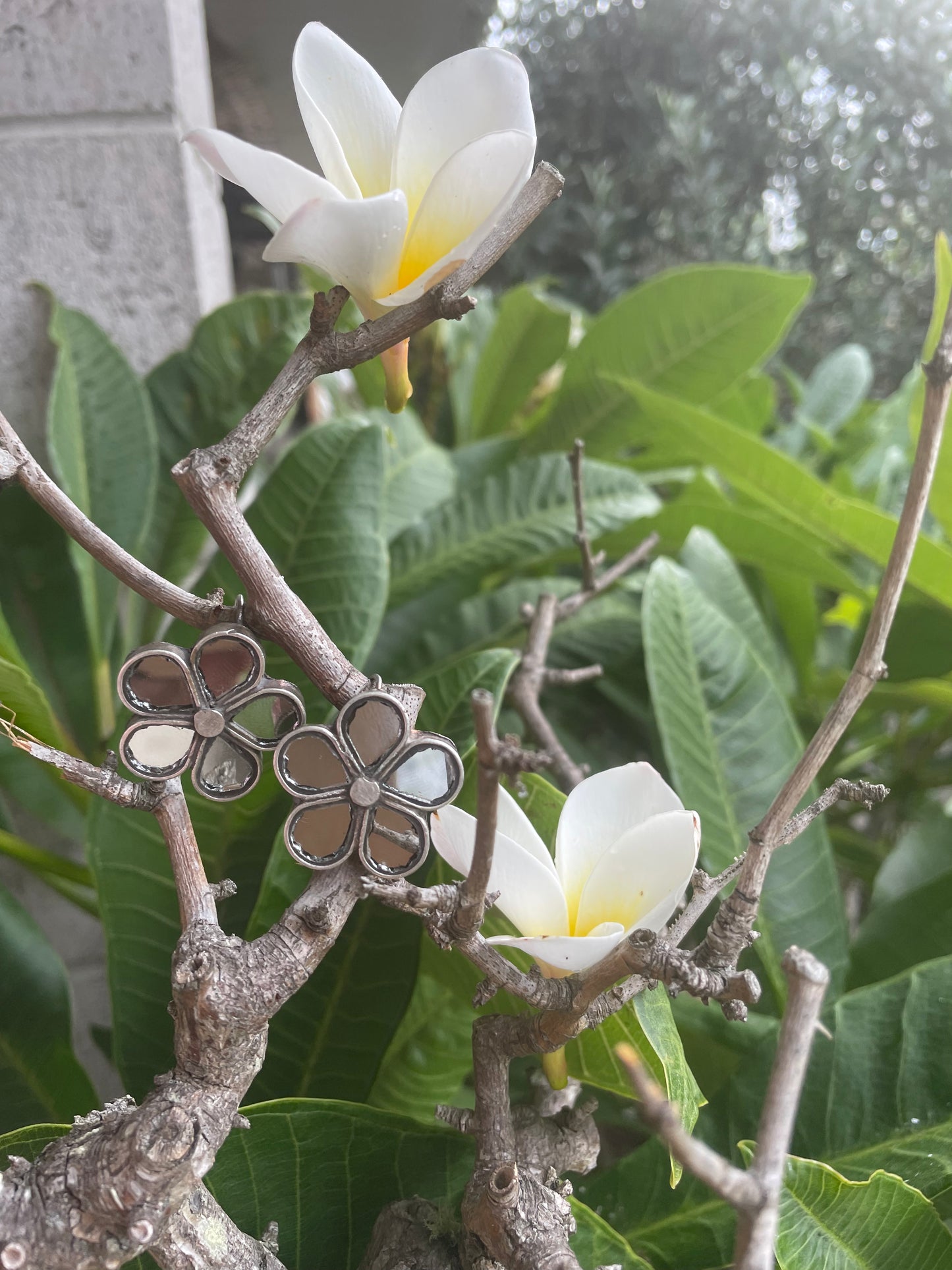 Padma
