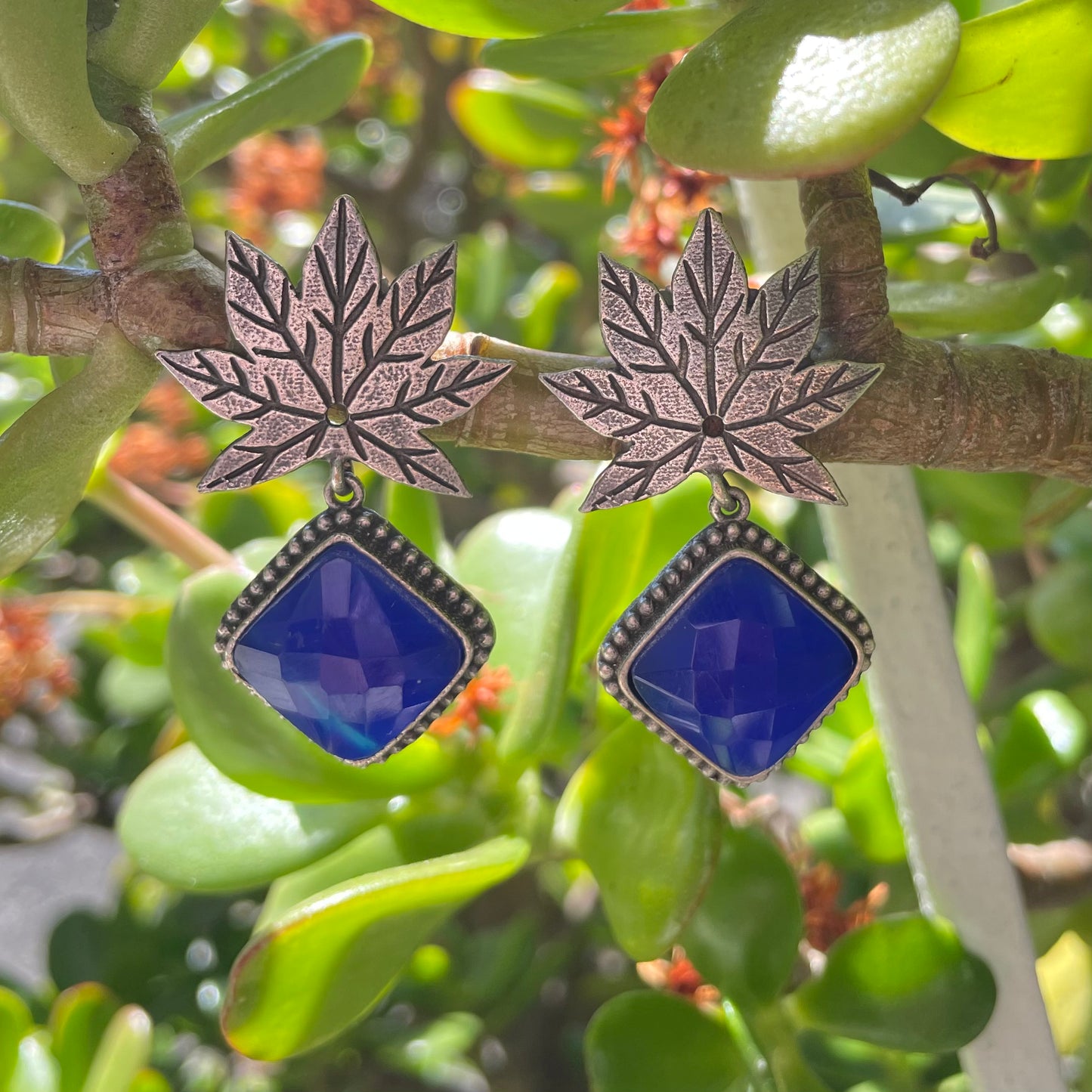 Maple Drops