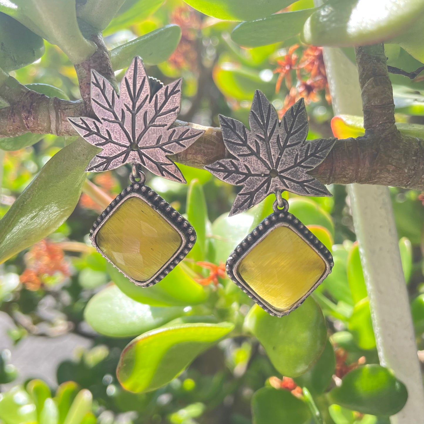 Maple Drops