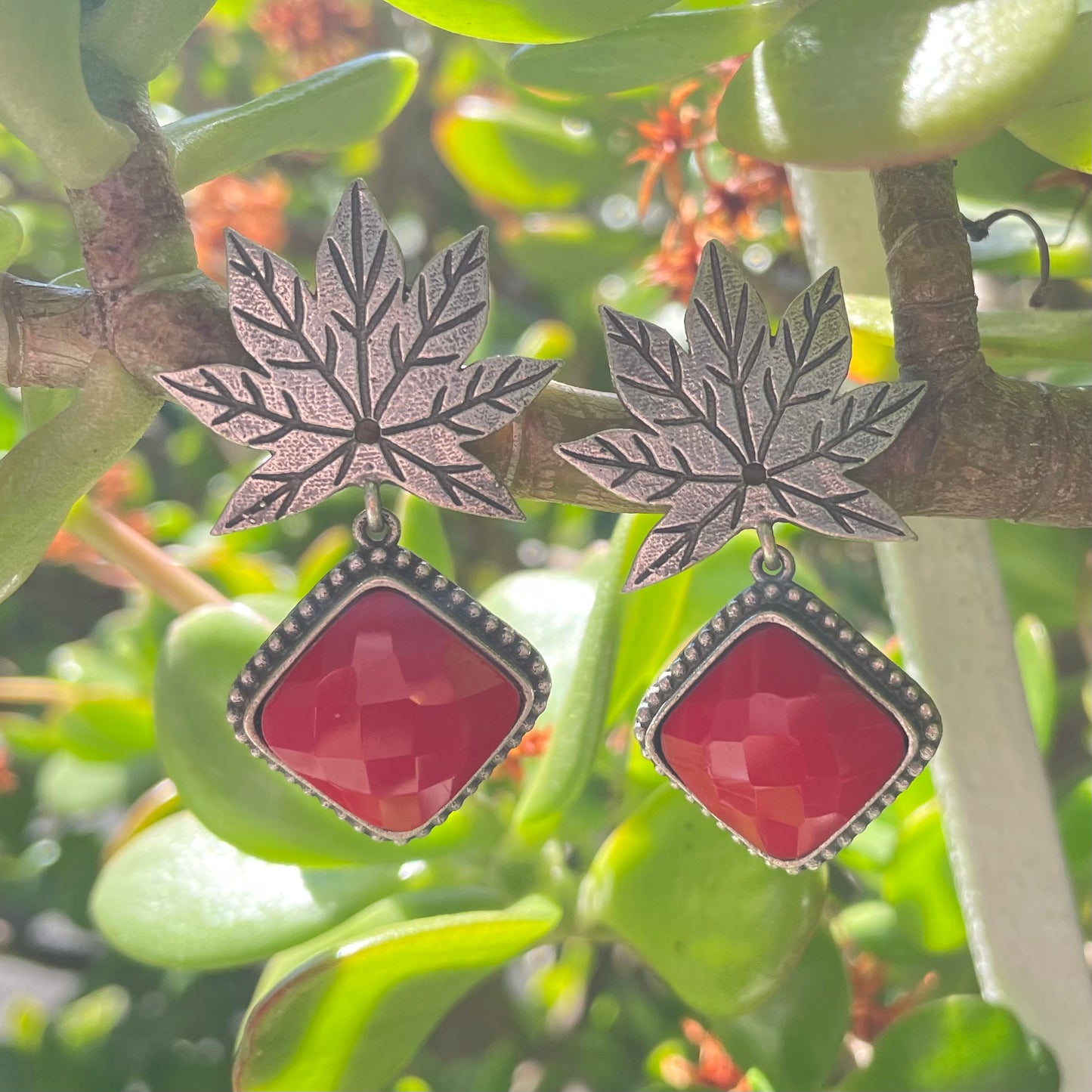 Maple Drops