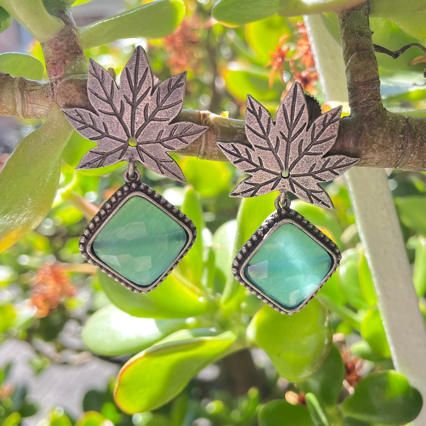 Maple Drops