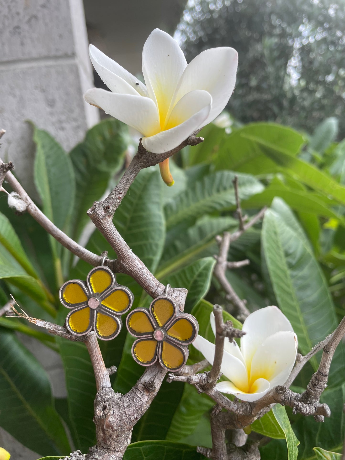 Padma