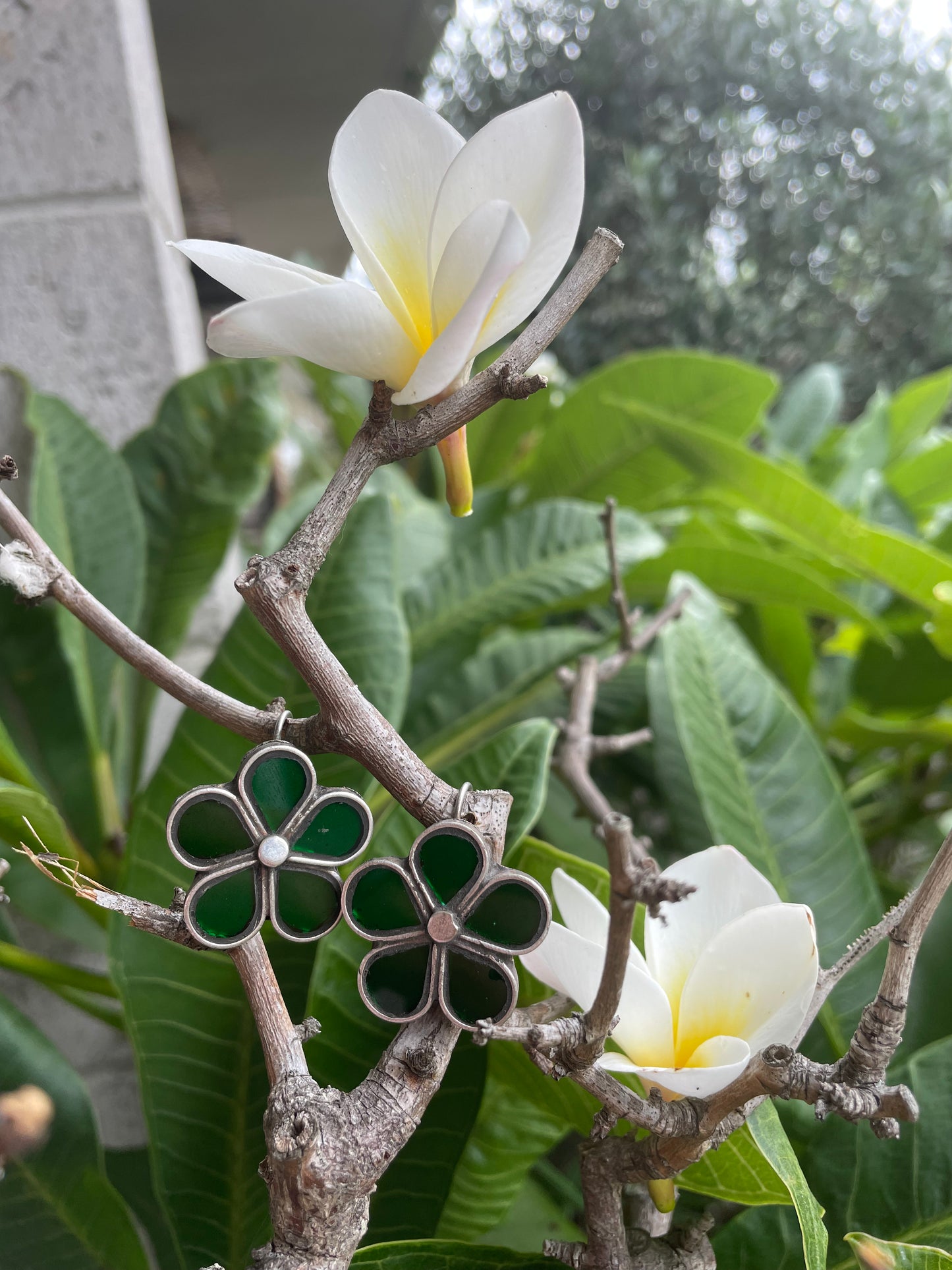 Padma