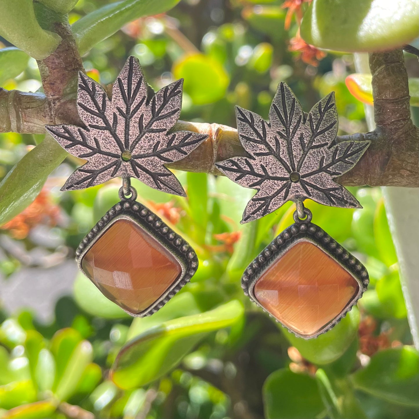 Maple Drops